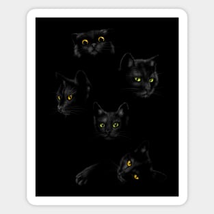 Dark cats in the dark Magnet